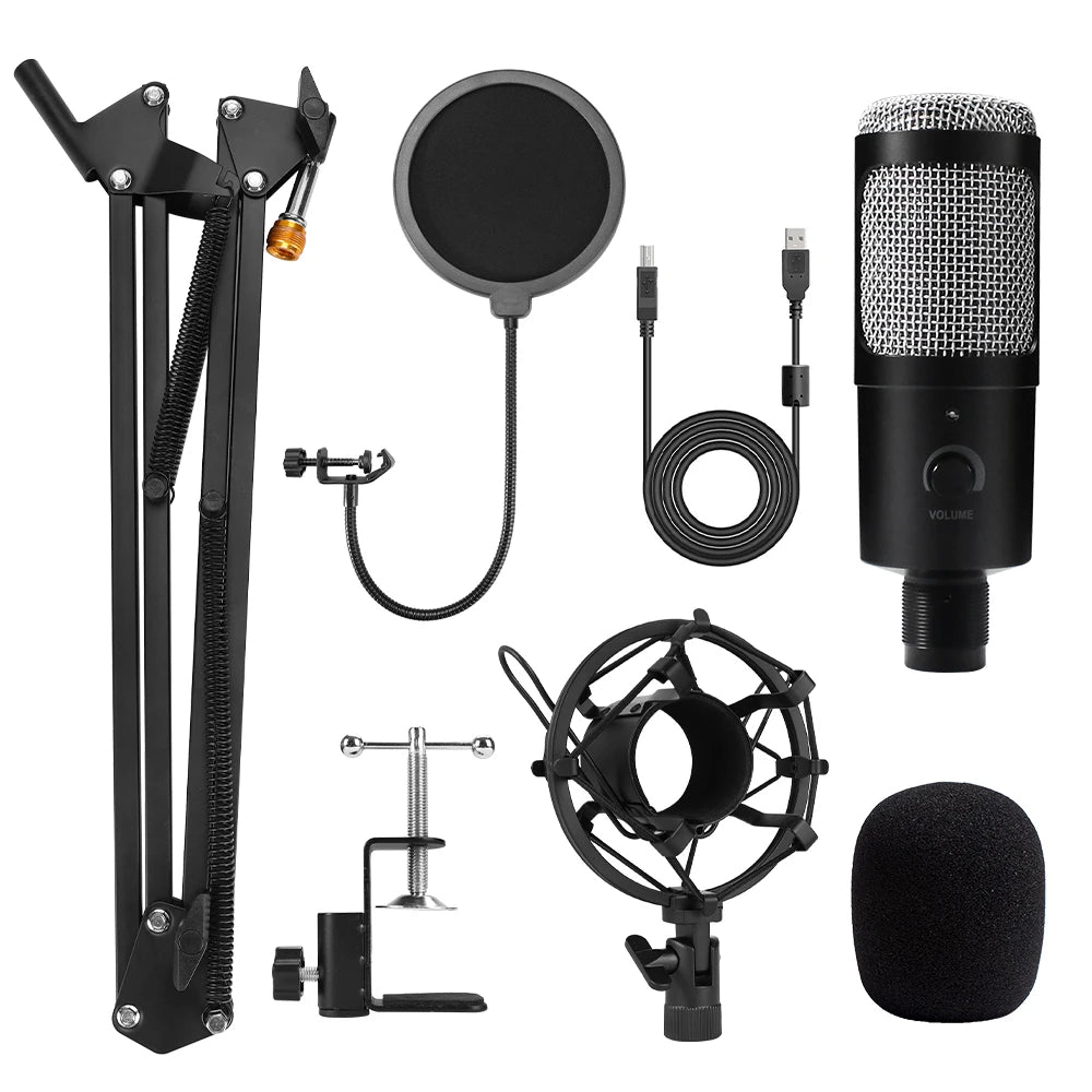 D80 Metal USB Condenser Microphone with Stand for Computer, Laptop, and Studio Recording