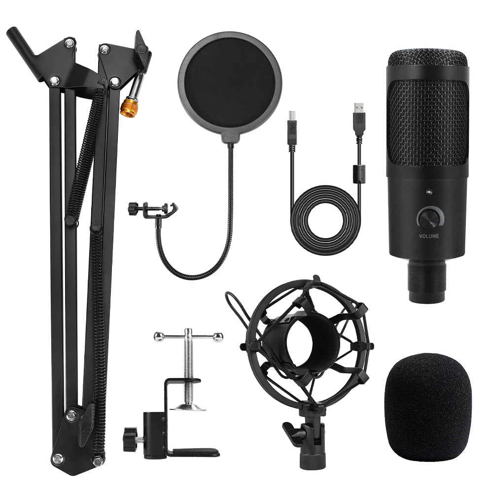 D80 Metal USB Condenser Microphone with Stand for Computer, Laptop, and Studio Recording