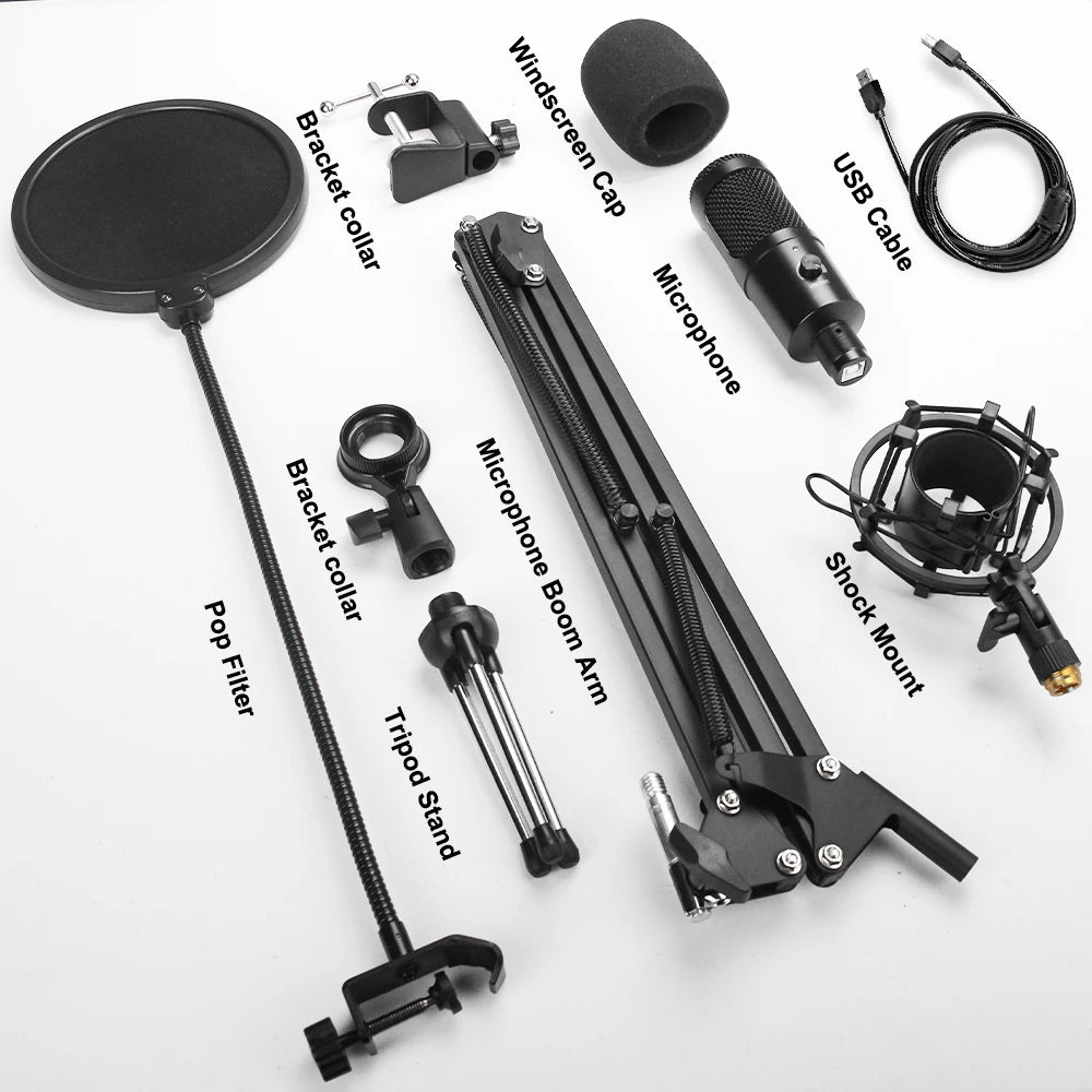 D80 Metal USB Condenser Microphone with Stand for Computer, Laptop, and Studio Recording