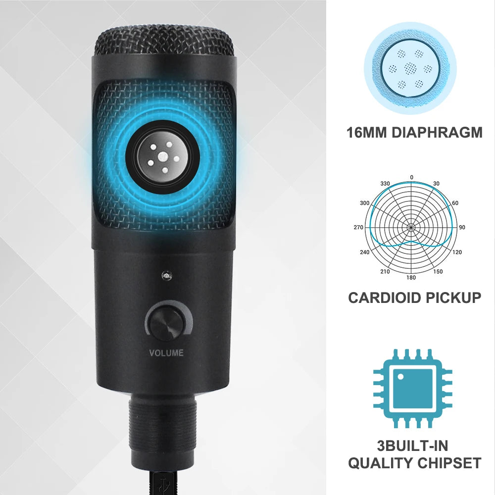 D80 Metal USB Condenser Microphone with Stand for Computer, Laptop, and Studio Recording